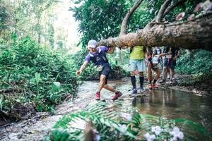 BIB: 
                            <button type="button" onclick="openModal(25450452)" class="btn btn-primary btn-sm float-right btn-popup" data-toggle="modal" data-target=".modal-high-quality">
                        <i class="fas fa-shopping-cart"></i> Add to Cart
                    </button>
                                            <button type="button" onclick="isThisMe(25450452, true)" class="btn btn-success btn-sm float-right btn-popup btn-isme hidden" data-toggle="tooltip" data-placement="bottom" title="นี่คือรูปของคุณใช่ไหม คลิกที่นี่เพื่อเอาเข้าอัลบั้ม">
                        <i class="fas fa-plus"></i> Add to album
                    </button>
                    <button type="button" onclick="isThisMe(25450452, false)" class="btn btn-warning btn-sm float-right btn-popup btn-isnotme hidden">
                        <i class="fas fa-ban"></i> Remove from album
                    </button>